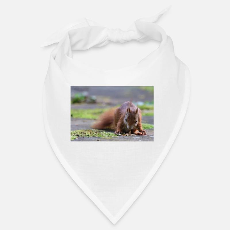 Eichhörnchen Bandana