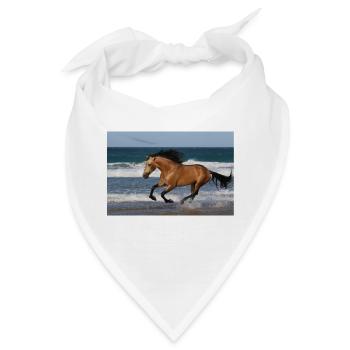 Pferde, Isibat - Bandana - Weiß - Vorne