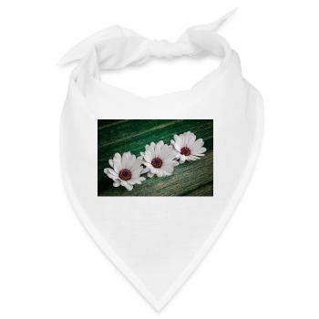 Afrikanische Gaensebluemchen - Bandana - Weiß - Vorne