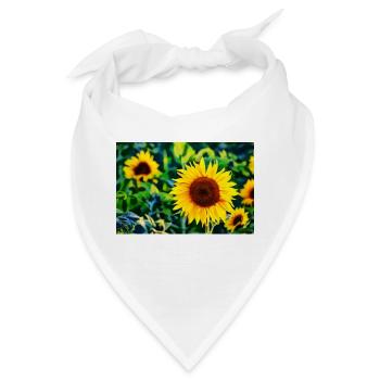 Sonnenblumen - Bandana - Weiß - Vorne