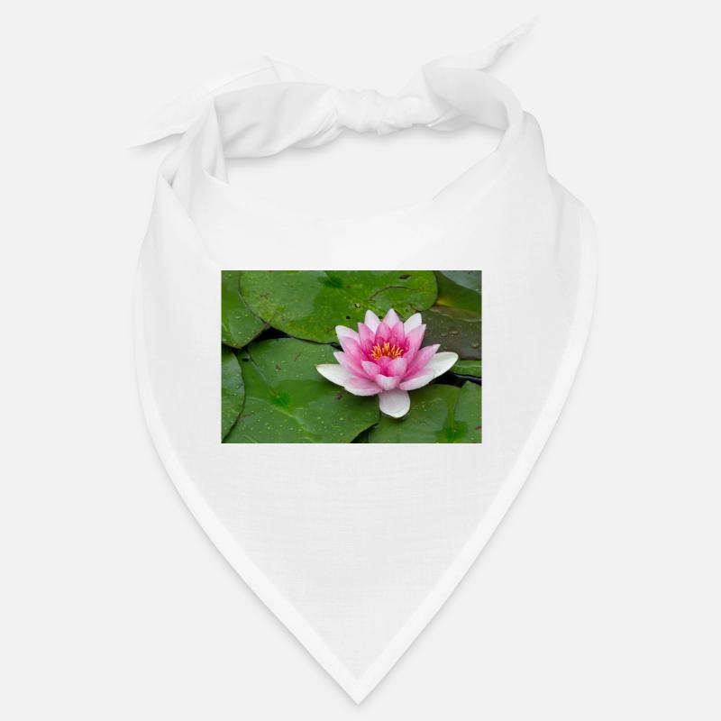 Nénuphar Bandana