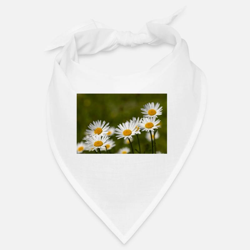 Daisies Bandana