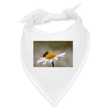 Margerite mit Biene - Bandana - Weiß - Vorne