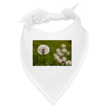 Loewenzahn - Bandana - Weiß - Vorne