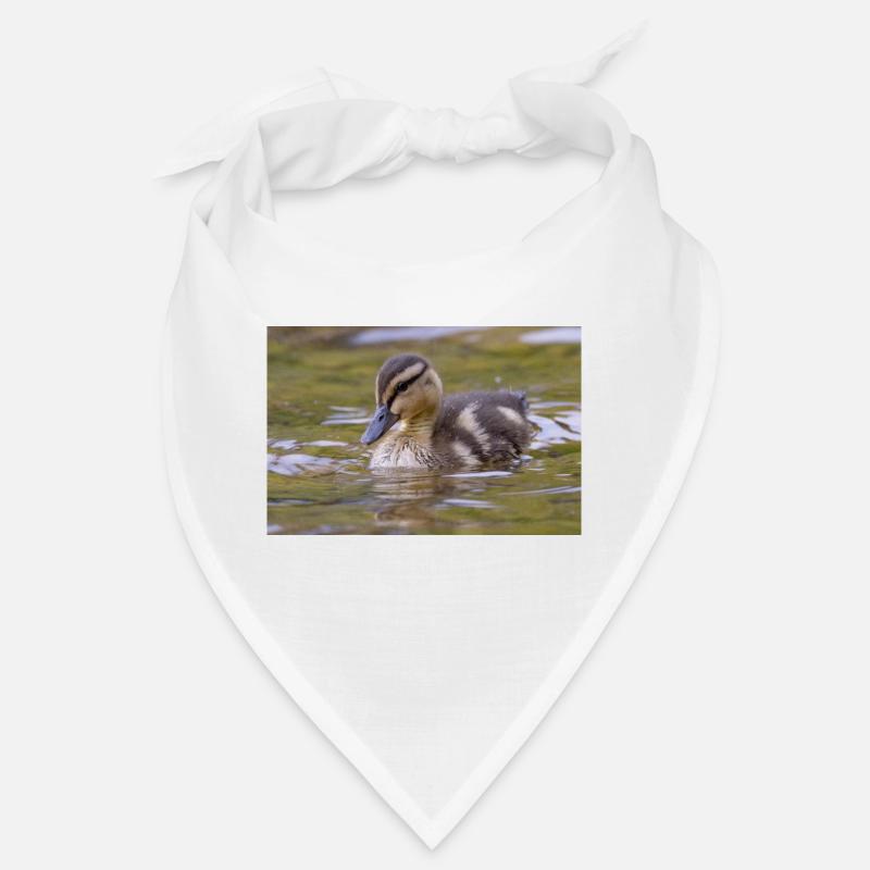 Duck chicks Bandana