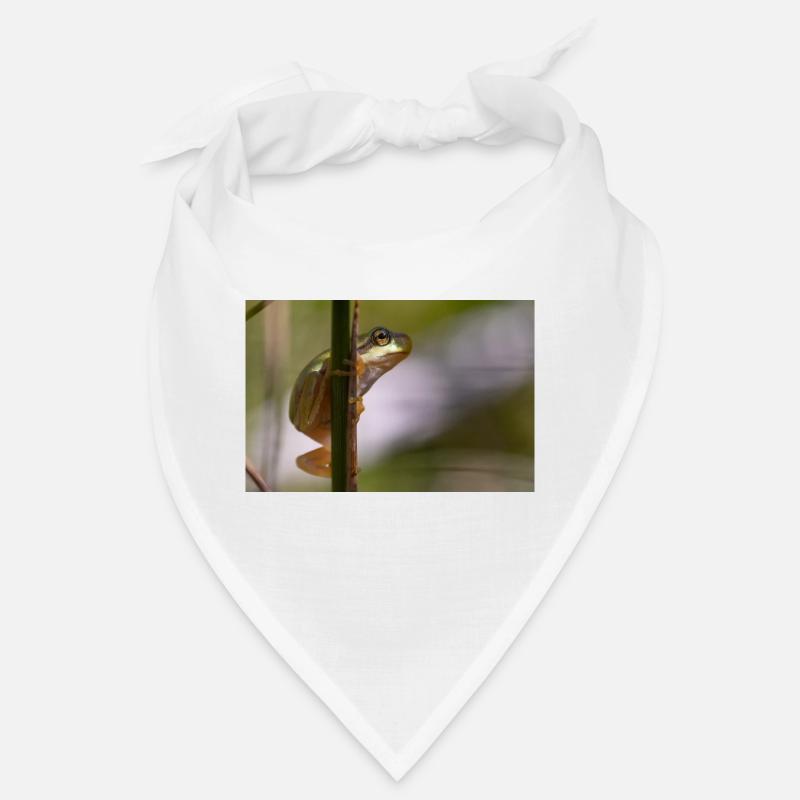 Laubfrosch Bandana