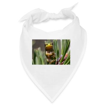 Laubfrosch - Bandana - Weiß - Vorne