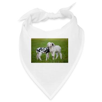 Lämmer Schwarz Weiss - Bandana - Weiß - Vorne