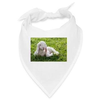 Lamm mit Kussmund - Bandana - Weiß - Vorne