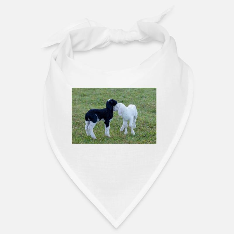 Lambs black and white Bandana