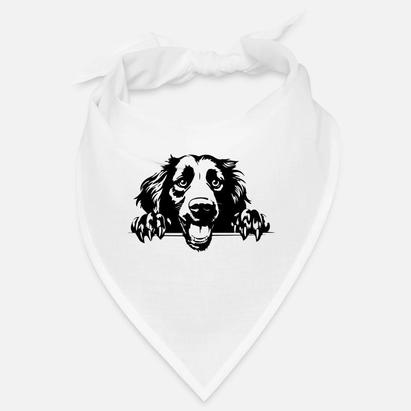 Retriever fidèle Bandana