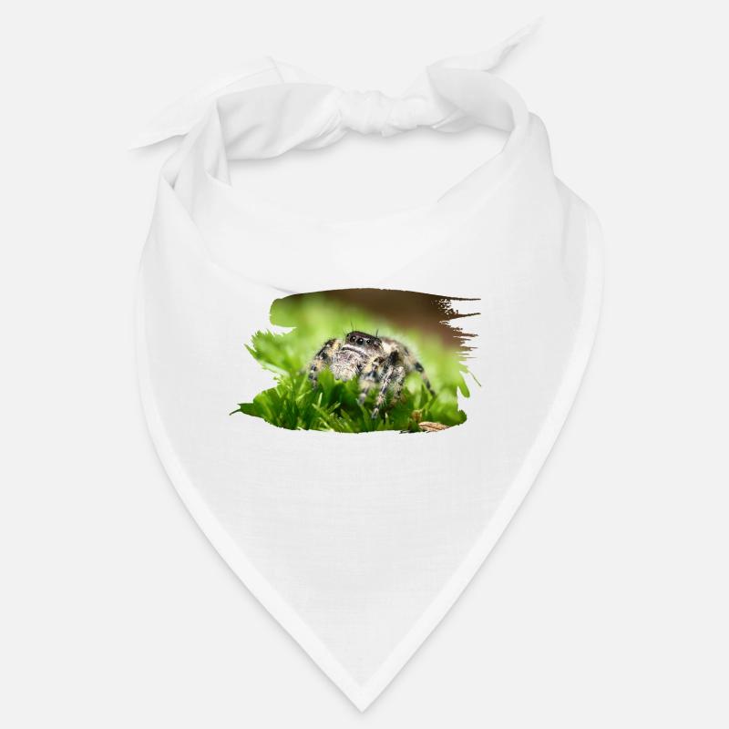 Phidippus bidentatus jumping spider spring spinne Bandana