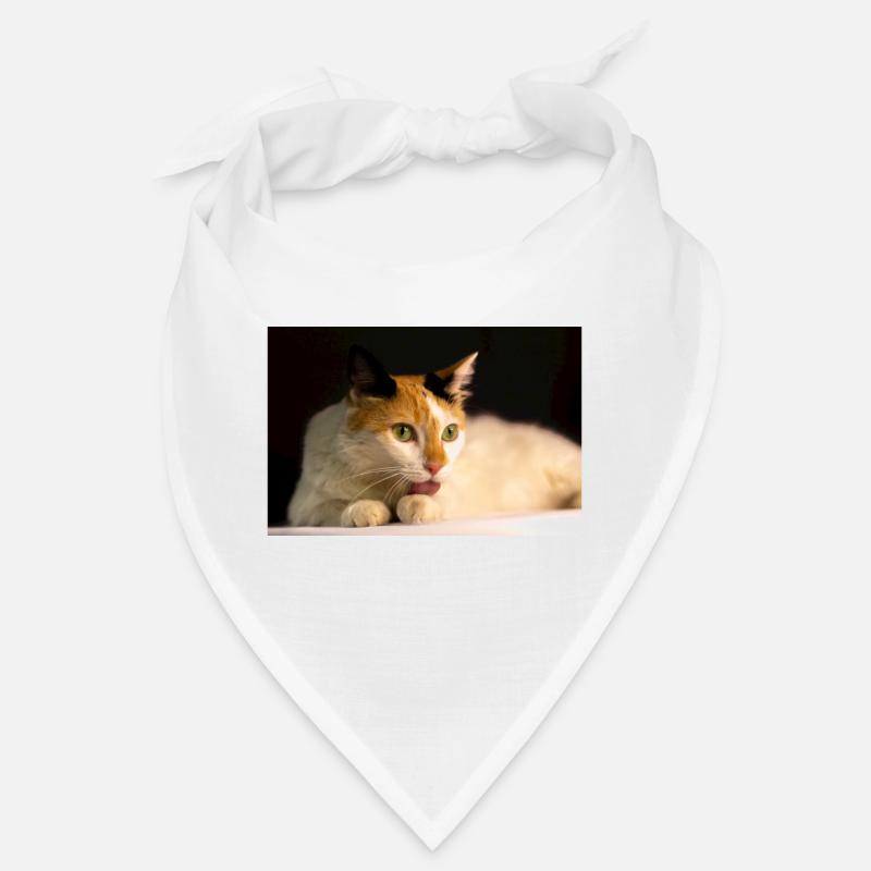 le chat Bandana