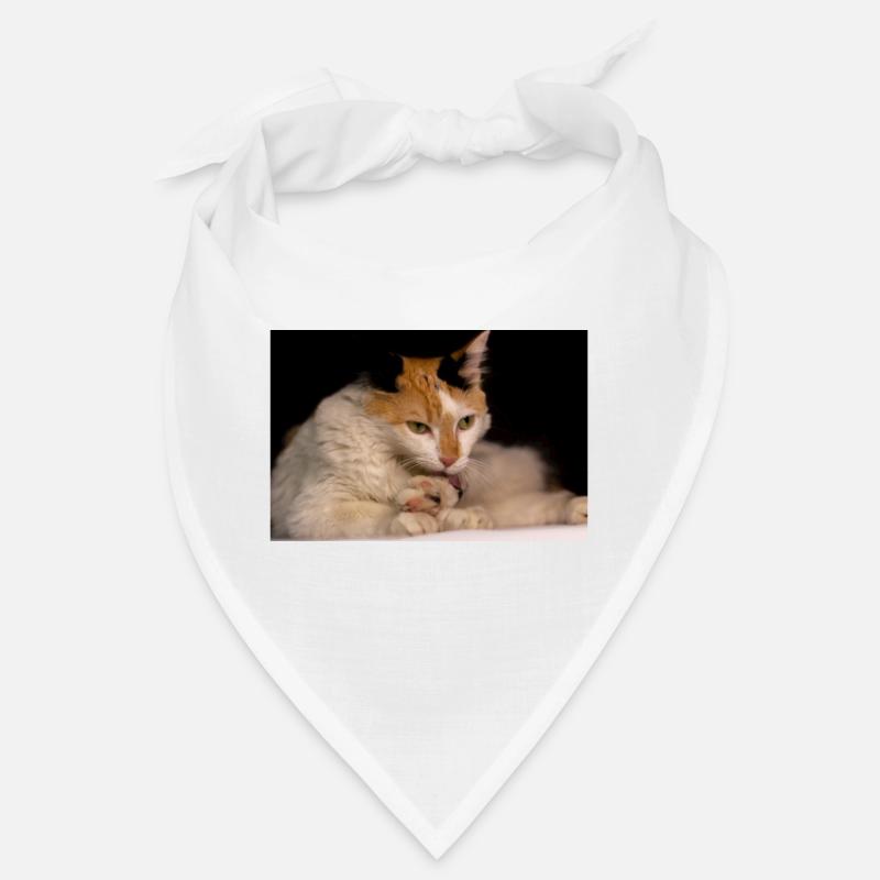 Die Katze Bandana