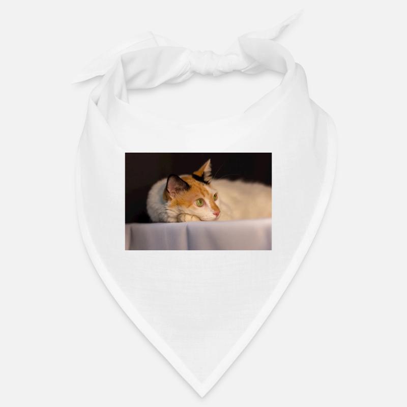 Die Katze Bandana