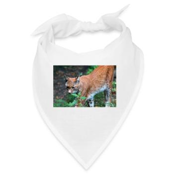 Eurasischer Luchs oder Nördlicher Luchs - Bandana - Weiß - Vorne