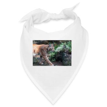 Eurasischer Luchs oder Nördlicher Luchs - Bandana - Weiß - Vorne