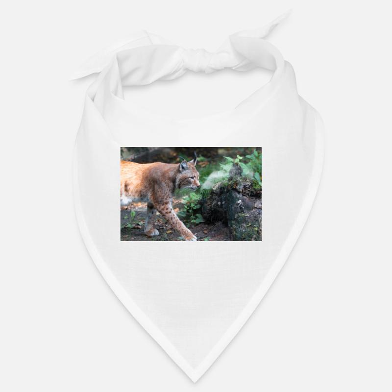 Eurasischer Luchs oder Nördlicher Luchs Bandana