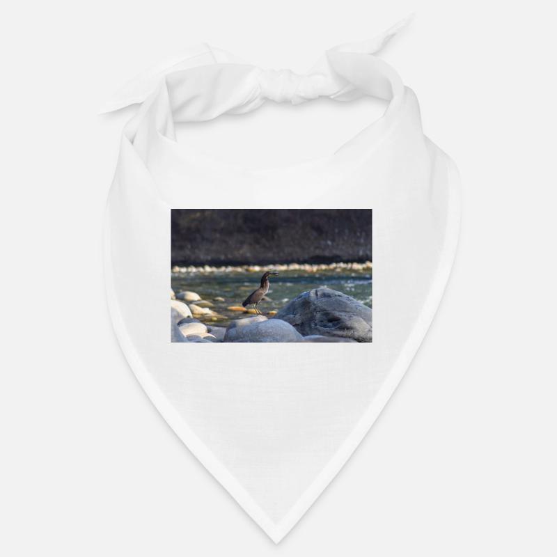 The Heron and the Fish Bandana
