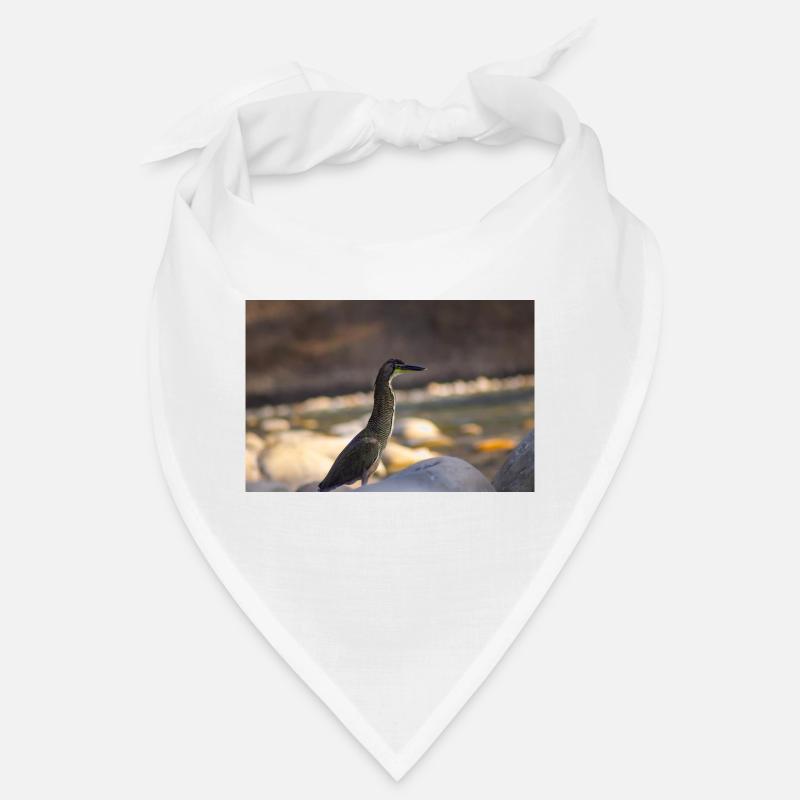 le héron Bandana
