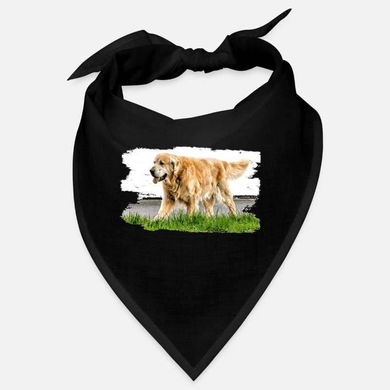 Golden Retriever hat ein beunruhigtes Temperament Bandana
