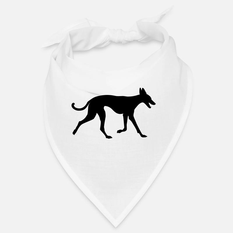 Podenco runs along Bandana