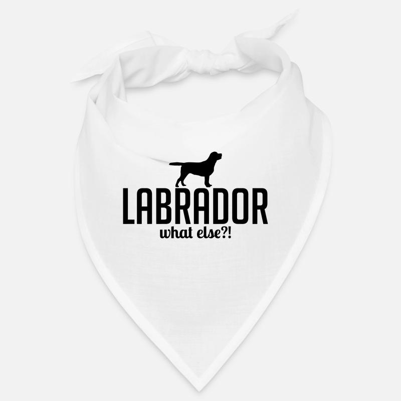 LABRADOR what else Wilsign's dog saying Bandana
