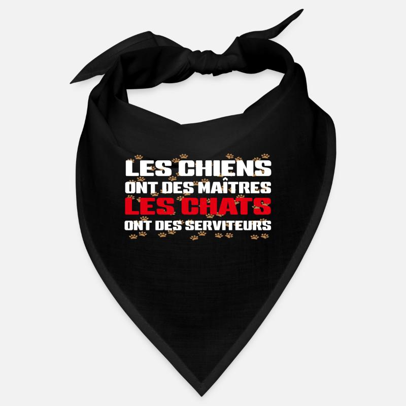 Humour de Chat Bandana