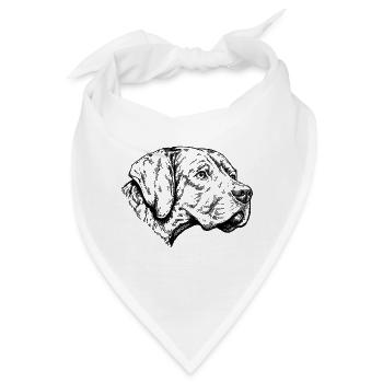 Braque du Bourbonnais Portrait - Bandana - Weiß - Vorne