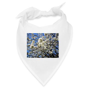 Blühender Kirschbaum im Frühling - Bandana - Weiß - Vorne