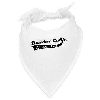 Border Collie - Bandana - Weiß - Vorne