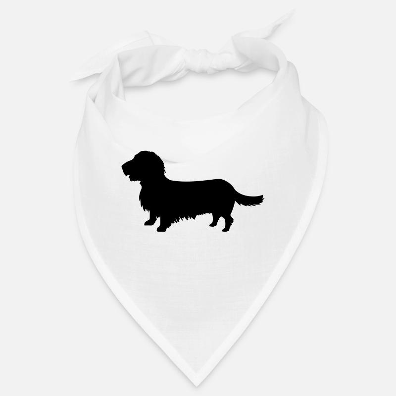 Rough-haired dachshund Bandana