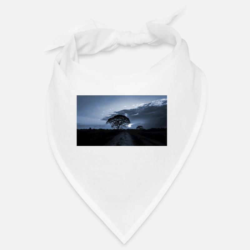blue sunset Bandana