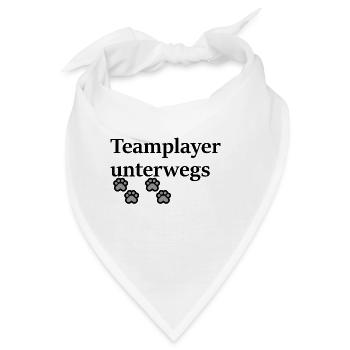 Teamplayer gibt es bei Zwei-und Vierbeinern. - Bandana - Weiß - Vorne