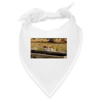 Das kleine Kalb - Bandana - Weiß - Vorne