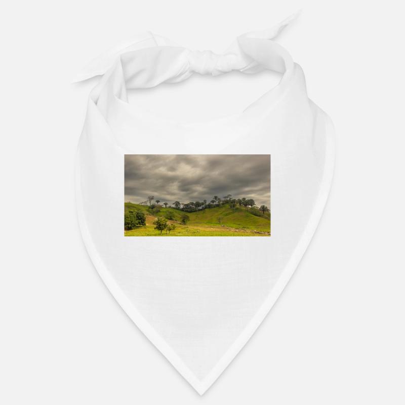 Venezuela Bandana