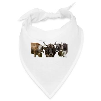 Die drei Allgäuer - Bandana - Weiß - Vorne