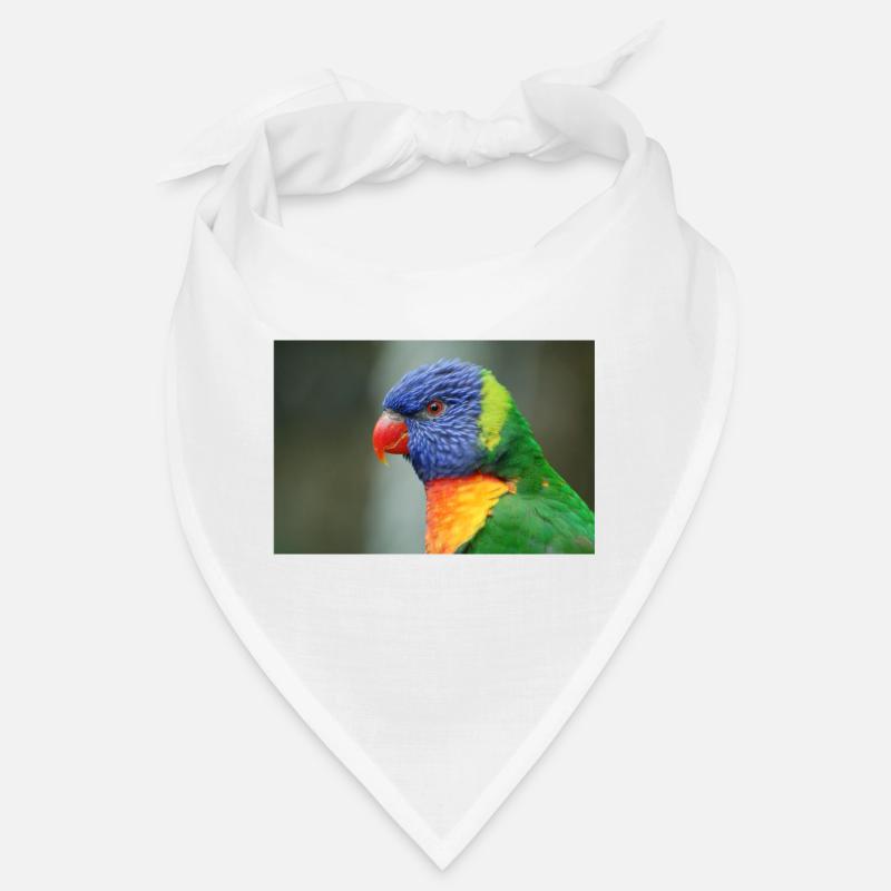 Honigpapagei alias Loris - Bandana - Weiß
