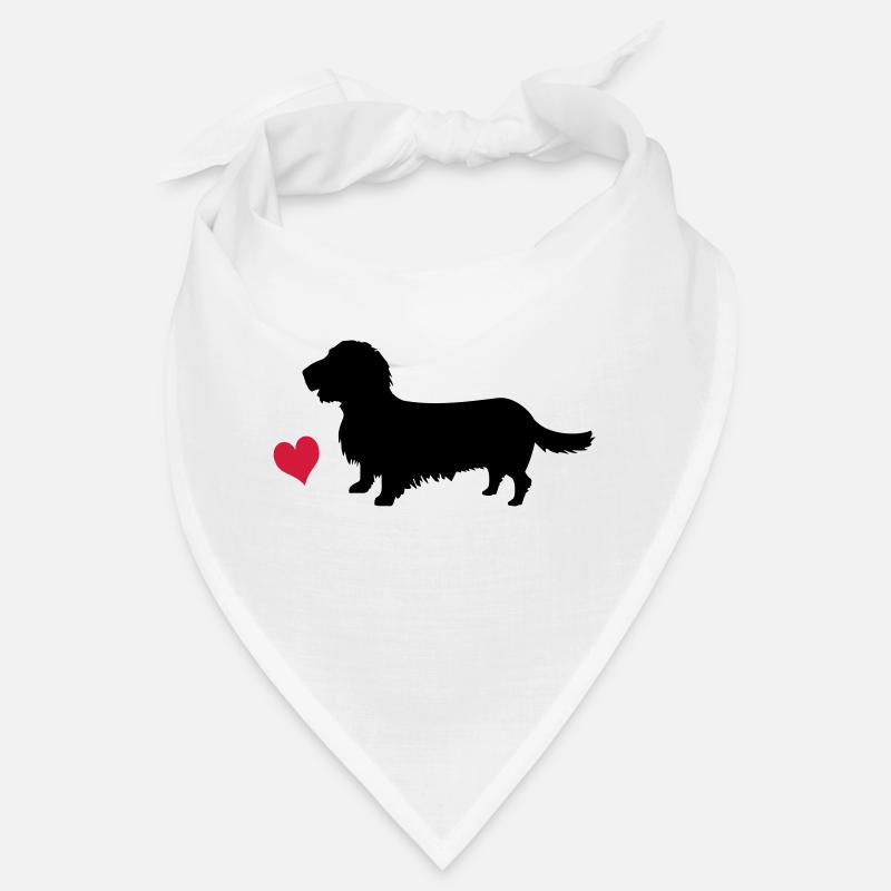 Rough-haired dachshund Bandana