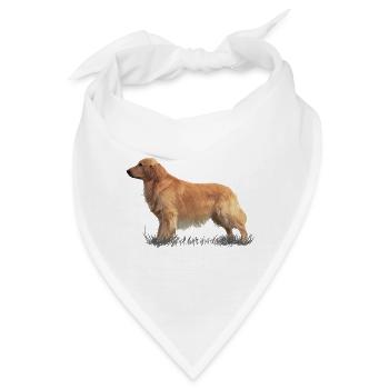 Golden Retriever - Bandana - Weiß - Vorne