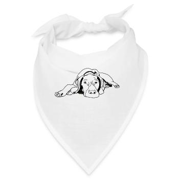 Pointer Deutsch Kurzhaar - Bandana - Weiß - Vorne