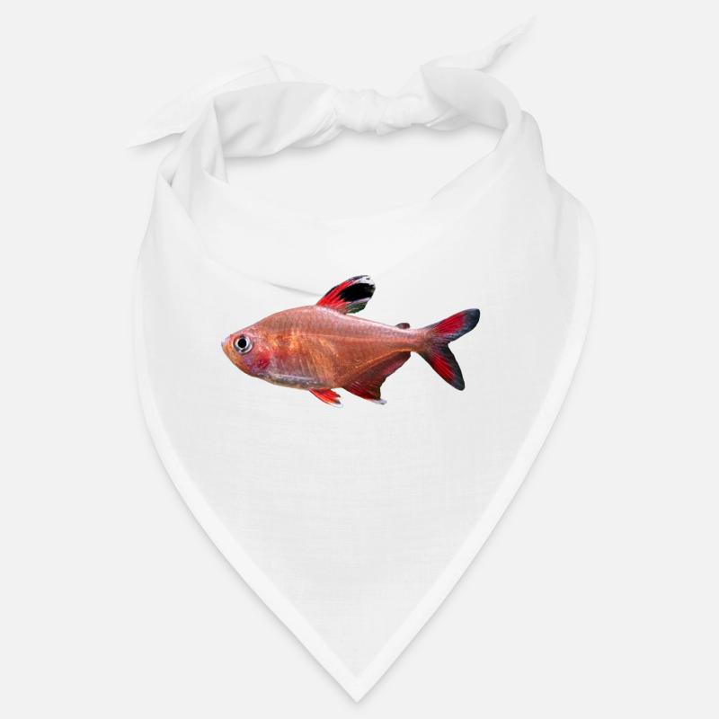 Bystrzyk ozdobny, Hyphessobrycon bentosi , ryba Bandana