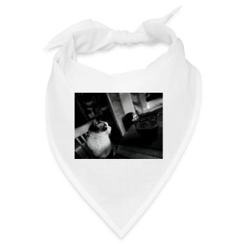 Schwarze Katze und Kaffeetasse - Bandana - Weiß - Vorne