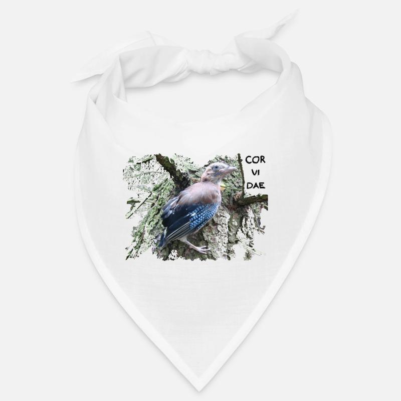 Jay Corvidae Bandana