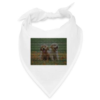Zwei Labrador Retriever Welpen mit Dreickmuster - Bandana - Weiß - Vorne