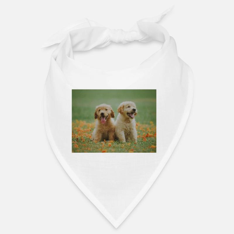 2 chiots Labrador Retriever dans le champ de fleurs Bandana