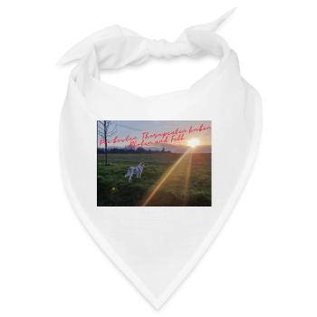 PfotenTherapie am Abendsonne - Bandana - Weiß - Vorne