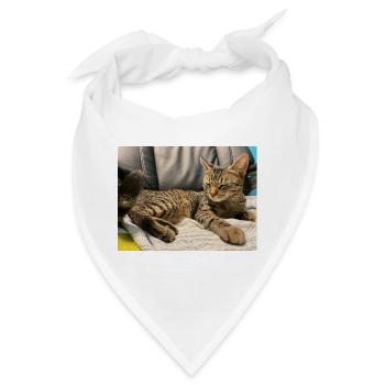 Gemütliche Tigerkatze im Licht - Bandana - Weiß - Vorne