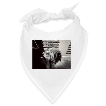 Schwarz-Weiß-Hundelook - Bandana - Weiß - Vorne