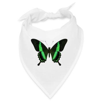 Smaragdschwalbenschwanz Papilio palinurus Schmetterling - Bandana - Weiß - Vorne